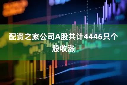 配资之家公司A股共计4446只个股收涨