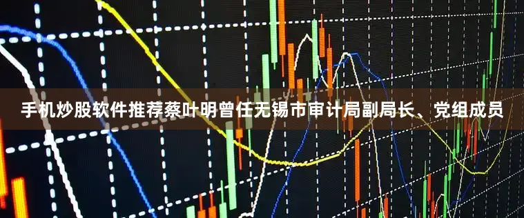 手机炒股软件推荐蔡叶明曾任无锡市审计局副局长、党组成员
