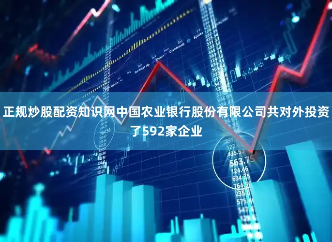 正规炒股配资知识网中国农业银行股份有限公司共对外投资了592家企业
