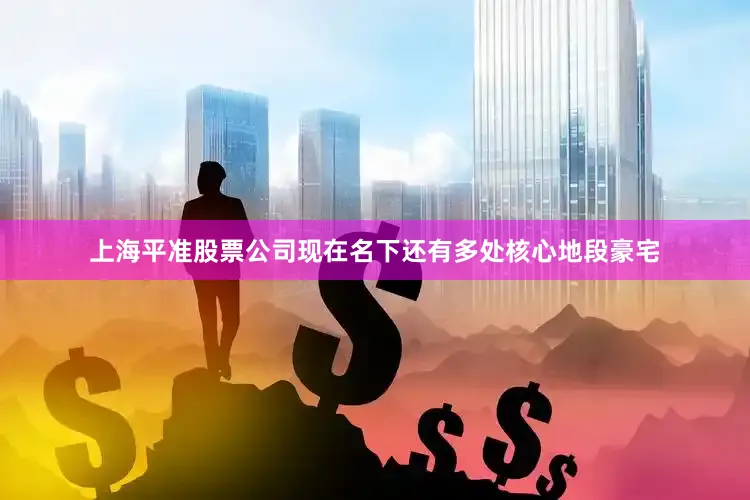 上海平准股票公司现在名下还有多处核心地段豪宅